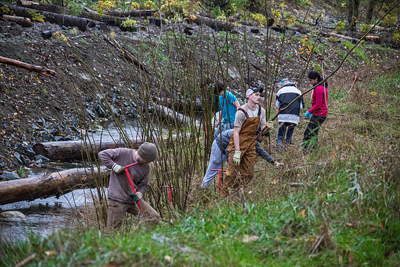 TRESTLE PLANTING - BROWNLANDS WETLAND RESTORATION PROJECT - Sombilon Photography-62