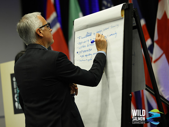 I - Wild Salmon Connections -PSF-163