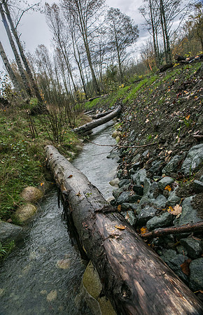 TRESTLE PLANTING - BROWNLANDS WETLAND RESTORATION PROJECT - Sombilon Photography-95