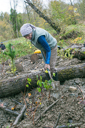 TRESTLE PLANTING - BROWNLANDS WETLAND RESTORATION PROJECT - Sombilon Photography-114