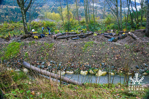 TRESTLE PLANTING - BROWNLANDS WETLAND RESTORATION PROJECT - Sombilon Photography-132