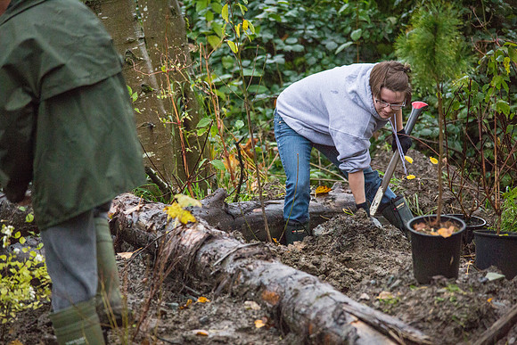 TRESTLE PLANTING - BROWNLANDS WETLAND RESTORATION PROJECT - Sombilon Photography-67