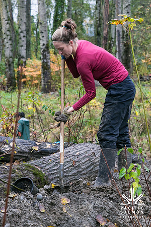 TRESTLE PLANTING - BROWNLANDS WETLAND RESTORATION PROJECT - Sombilon Photography-112