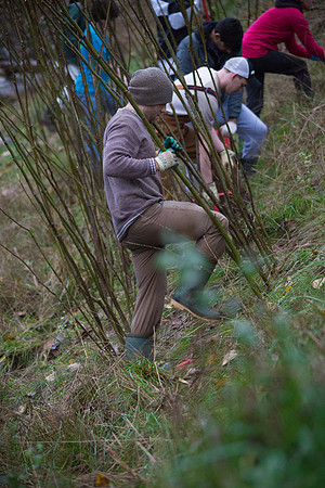 TRESTLE PLANTING - BROWNLANDS WETLAND RESTORATION PROJECT - Sombilon Photography-72