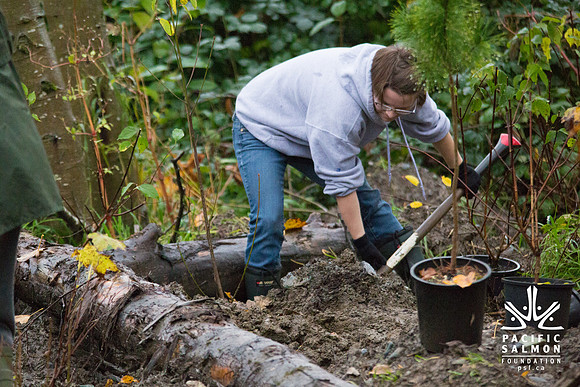 TRESTLE PLANTING - BROWNLANDS WETLAND RESTORATION PROJECT - Sombilon Photography-66