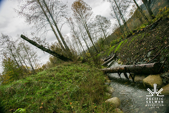 TRESTLE PLANTING - BROWNLANDS WETLAND RESTORATION PROJECT - Sombilon Photography-129