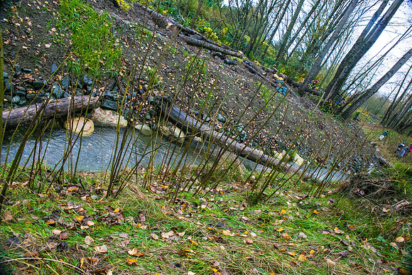 TRESTLE PLANTING - BROWNLANDS WETLAND RESTORATION PROJECT - Sombilon Photography-135