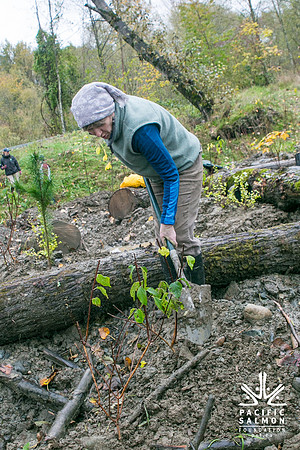 TRESTLE PLANTING - BROWNLANDS WETLAND RESTORATION PROJECT - Sombilon Photography-114