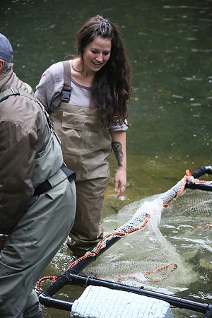 Seymour Salmon Society Fish Rescue - Sombilon Photography-67