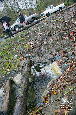 TRESTLE PLANTING - BROWNLANDS WETLAND RESTORATION PROJECT - Sombilon Photography-154