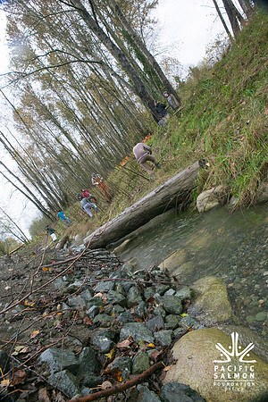 TRESTLE PLANTING - BROWNLANDS WETLAND RESTORATION PROJECT - Sombilon Photography-94