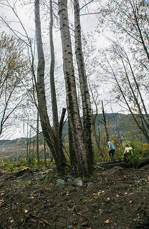 TRESTLE PLANTING - BROWNLANDS WETLAND RESTORATION PROJECT - Sombilon Photography-128
