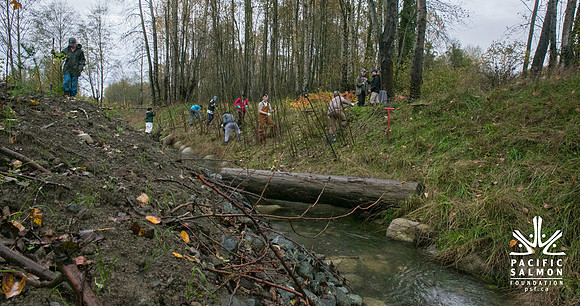 TRESTLE PLANTING - BROWNLANDS WETLAND RESTORATION PROJECT - Sombilon Photography-91
