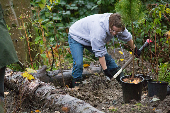TRESTLE PLANTING - BROWNLANDS WETLAND RESTORATION PROJECT - Sombilon Photography-66