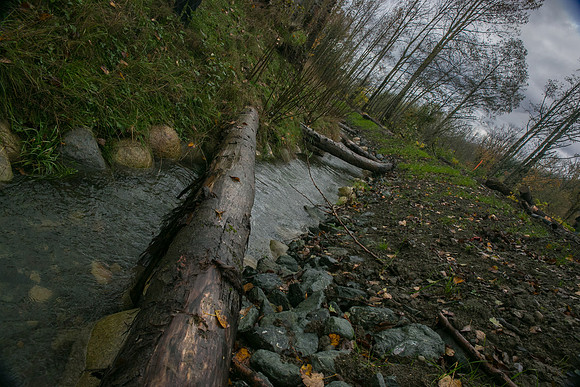 TRESTLE PLANTING - BROWNLANDS WETLAND RESTORATION PROJECT - Sombilon Photography-102