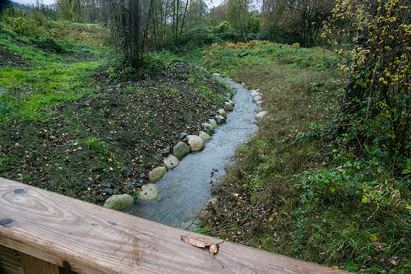 TRESTLE PLANTING - BROWNLANDS WETLAND RESTORATION PROJECT - Sombilon Photography-28