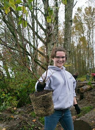 TRESTLE PLANTING - BROWNLANDS WETLAND RESTORATION PROJECT - Sombilon Photography-4