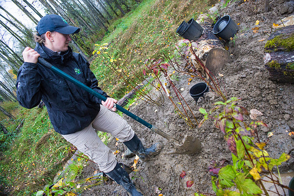 TRESTLE PLANTING - BROWNLANDS WETLAND RESTORATION PROJECT - Sombilon Photography-214