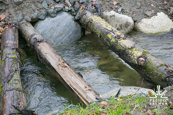 TRESTLE PLANTING - BROWNLANDS WETLAND RESTORATION PROJECT - Sombilon Photography-144