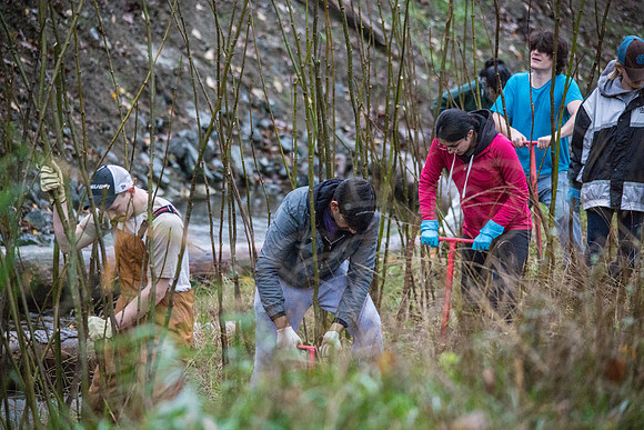 TRESTLE PLANTING - BROWNLANDS WETLAND RESTORATION PROJECT - Sombilon Photography-64