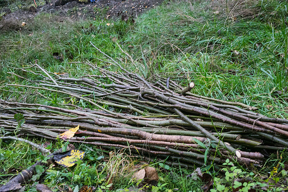 TRESTLE PLANTING - BROWNLANDS WETLAND RESTORATION PROJECT - Sombilon Photography-61