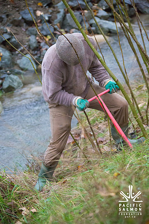 TRESTLE PLANTING - BROWNLANDS WETLAND RESTORATION PROJECT - Sombilon Photography-77