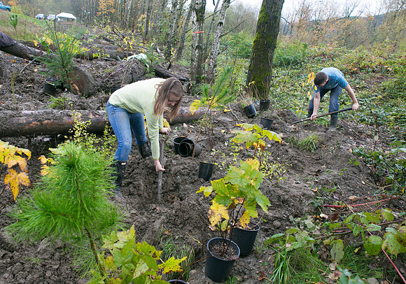 TRESTLE PLANTING - BROWNLANDS WETLAND RESTORATION PROJECT - Sombilon Photography-126