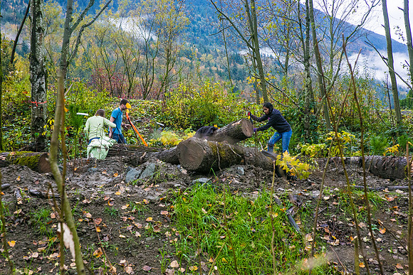 TRESTLE PLANTING - BROWNLANDS WETLAND RESTORATION PROJECT - Sombilon Photography-134