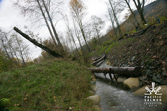 TRESTLE PLANTING - BROWNLANDS WETLAND RESTORATION PROJECT - Sombilon Photography-130