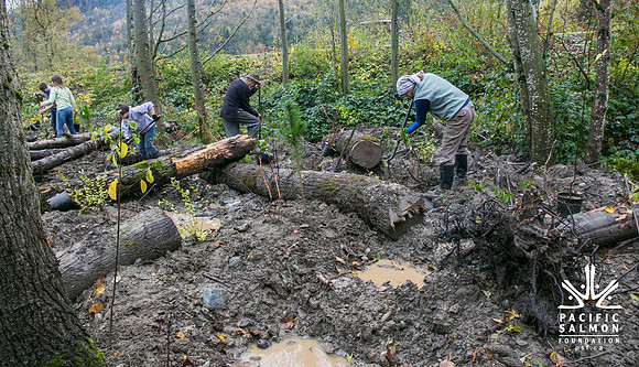 TRESTLE PLANTING - BROWNLANDS WETLAND RESTORATION PROJECT - Sombilon Photography-106