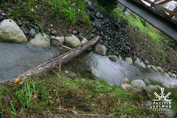 TRESTLE PLANTING - BROWNLANDS WETLAND RESTORATION PROJECT - Sombilon Photography-23