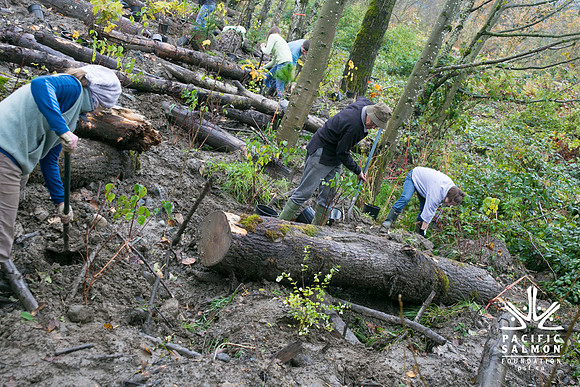 TRESTLE PLANTING - BROWNLANDS WETLAND RESTORATION PROJECT - Sombilon Photography-107