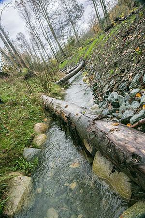 TRESTLE PLANTING - BROWNLANDS WETLAND RESTORATION PROJECT - Sombilon Photography-103
