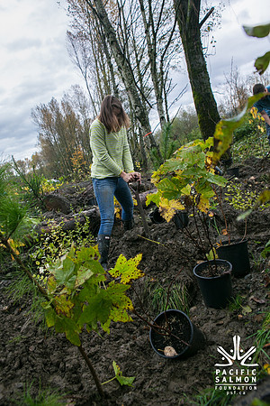 TRESTLE PLANTING - BROWNLANDS WETLAND RESTORATION PROJECT - Sombilon Photography-127