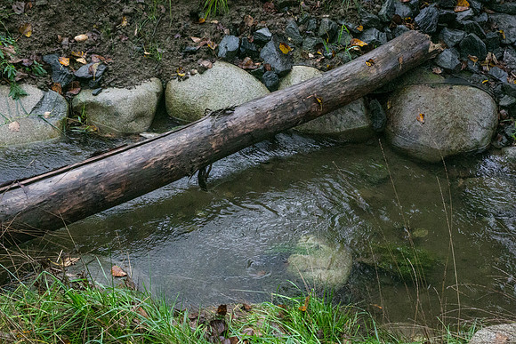 TRESTLE PLANTING - BROWNLANDS WETLAND RESTORATION PROJECT - Sombilon Photography-27
