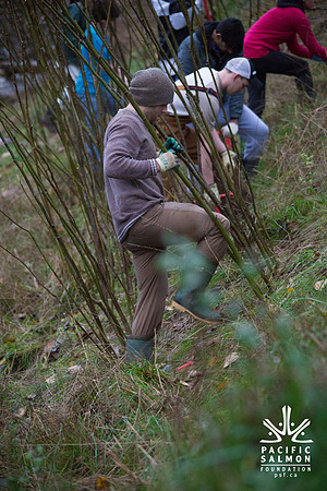 TRESTLE PLANTING - BROWNLANDS WETLAND RESTORATION PROJECT - Sombilon Photography-72