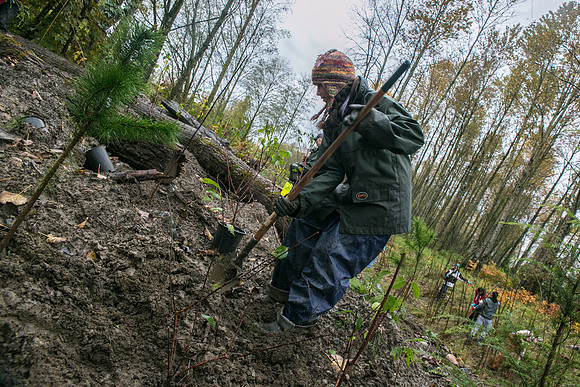 TRESTLE PLANTING - BROWNLANDS WETLAND RESTORATION PROJECT - Sombilon Photography-105