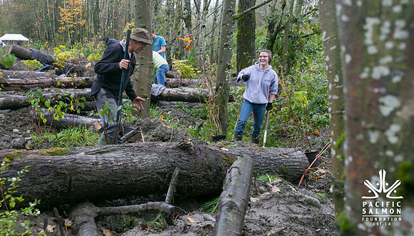 TRESTLE PLANTING - BROWNLANDS WETLAND RESTORATION PROJECT - Sombilon Photography-108