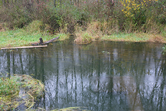 TRESTLE PLANTING - BROWNLANDS WETLAND RESTORATION PROJECT - Sombilon Photography-141