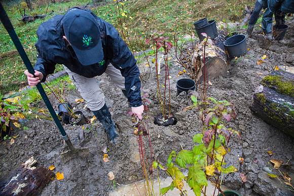 TRESTLE PLANTING - BROWNLANDS WETLAND RESTORATION PROJECT - Sombilon Photography-211