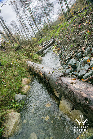 TRESTLE PLANTING - BROWNLANDS WETLAND RESTORATION PROJECT - Sombilon Photography-103