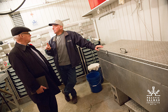 PSF - TYNEHEAD HATCHERY - MP Ken Hardie-83