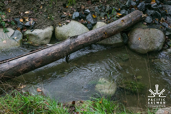 TRESTLE PLANTING - BROWNLANDS WETLAND RESTORATION PROJECT - Sombilon Photography-27