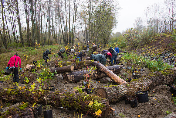 TRESTLE PLANTING - BROWNLANDS WETLAND RESTORATION PROJECT - Sombilon Photography-199