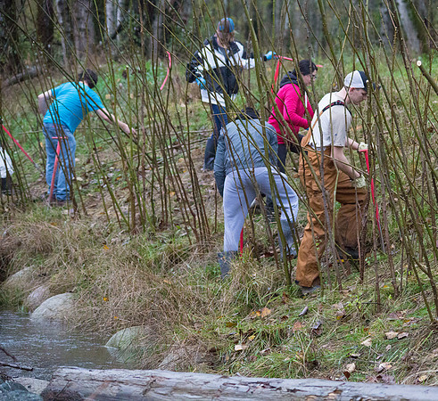 TRESTLE PLANTING - BROWNLANDS WETLAND RESTORATION PROJECT - Sombilon Photography-90