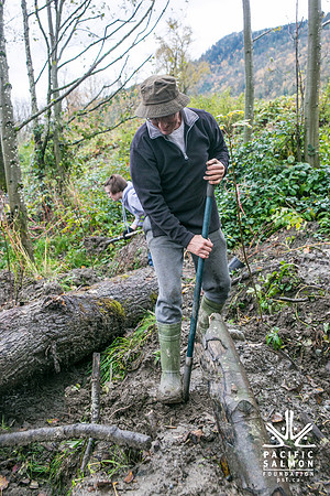 TRESTLE PLANTING - BROWNLANDS WETLAND RESTORATION PROJECT - Sombilon Photography-116