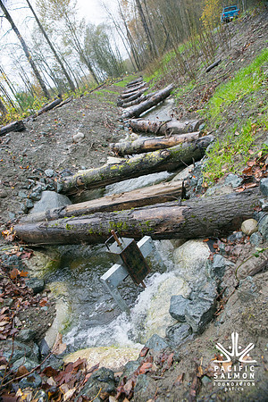 TRESTLE PLANTING - BROWNLANDS WETLAND RESTORATION PROJECT - Sombilon Photography-145