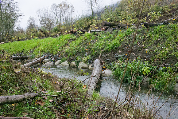 TRESTLE PLANTING - BROWNLANDS WETLAND RESTORATION PROJECT - Sombilon Photography-26