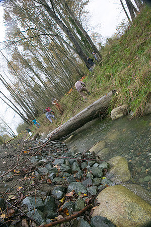 TRESTLE PLANTING - BROWNLANDS WETLAND RESTORATION PROJECT - Sombilon Photography-94