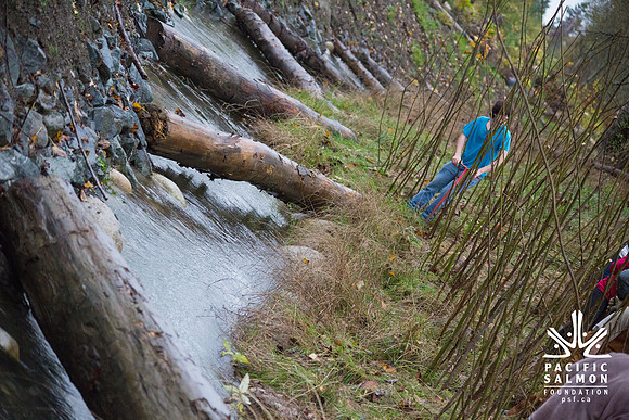 TRESTLE PLANTING - BROWNLANDS WETLAND RESTORATION PROJECT - Sombilon Photography-82